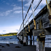 真正解决问题的骚扰神器24小时轰炸免费