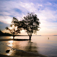 轰炸手机号码软件