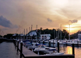 网页在线发短信平台