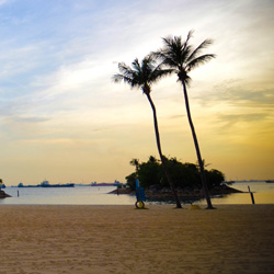 账号购买渠道的免费测试呼死你