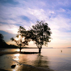 云呼网页版免费试用